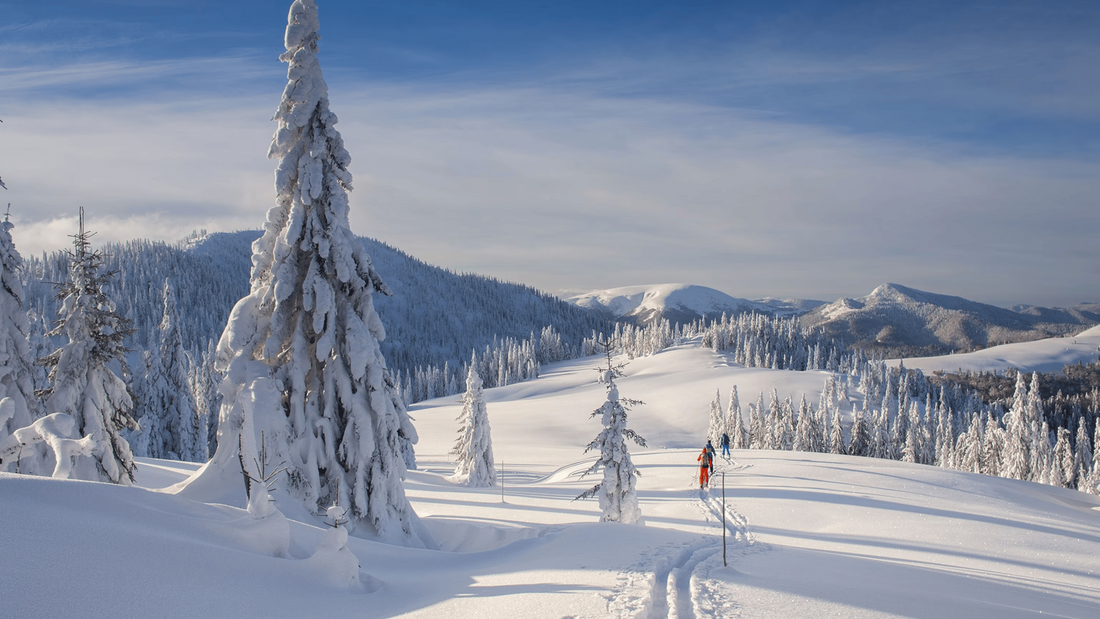 Why Nano THC Syrup Just Hits Different in the Winter