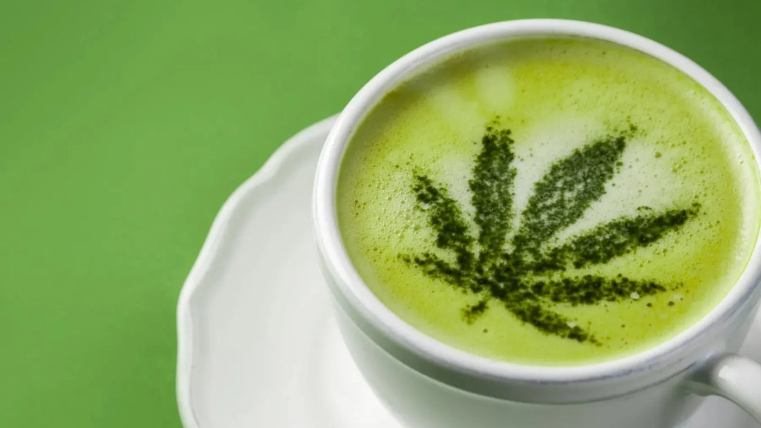 The Rise of Cannabis Beverages